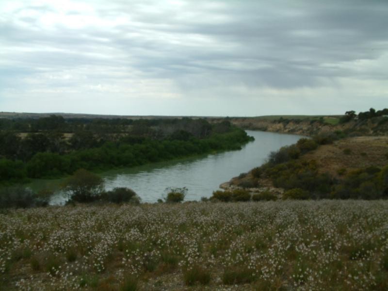 Lot 22/ Zadow Road CALOOTE via, Mannum SA 5238