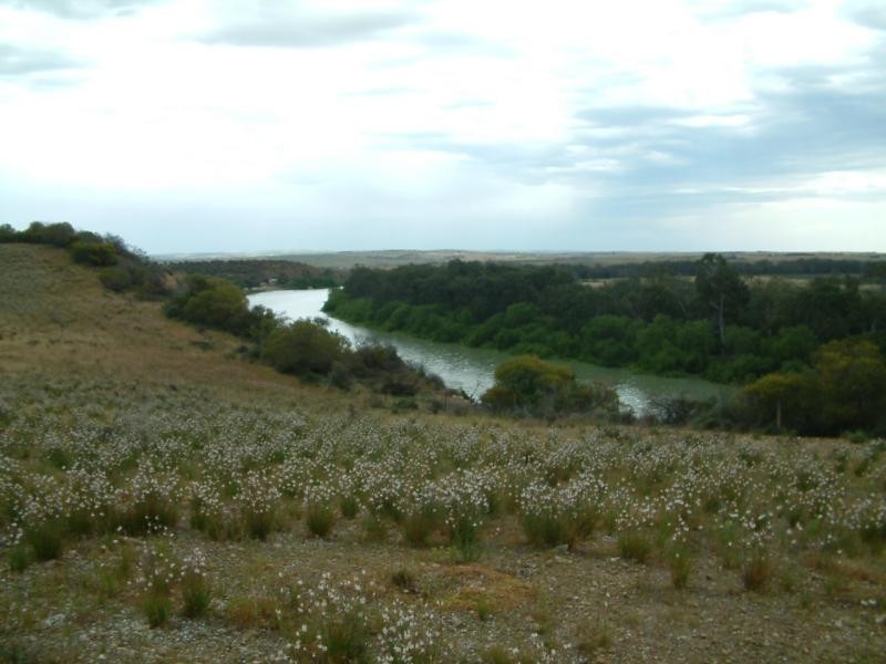 Lot 22/ Zadow Road CALOOTE via, Mannum SA 5238