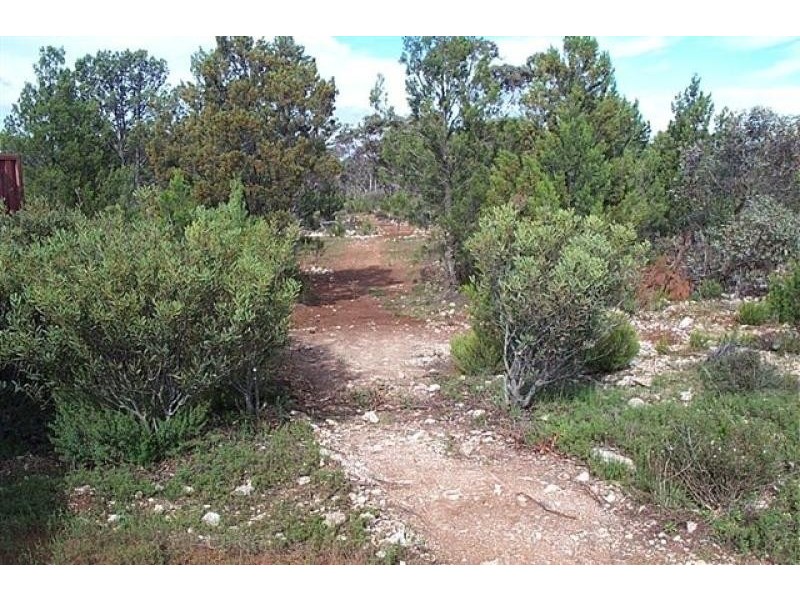 Lot 21 Goondoloo Road, Bowhill SA 5238