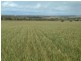 Section 345/ Pfieffer Road, Mannum SA 5238
