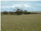 Section 345/ Pfieffer Road, Mannum SA 5238