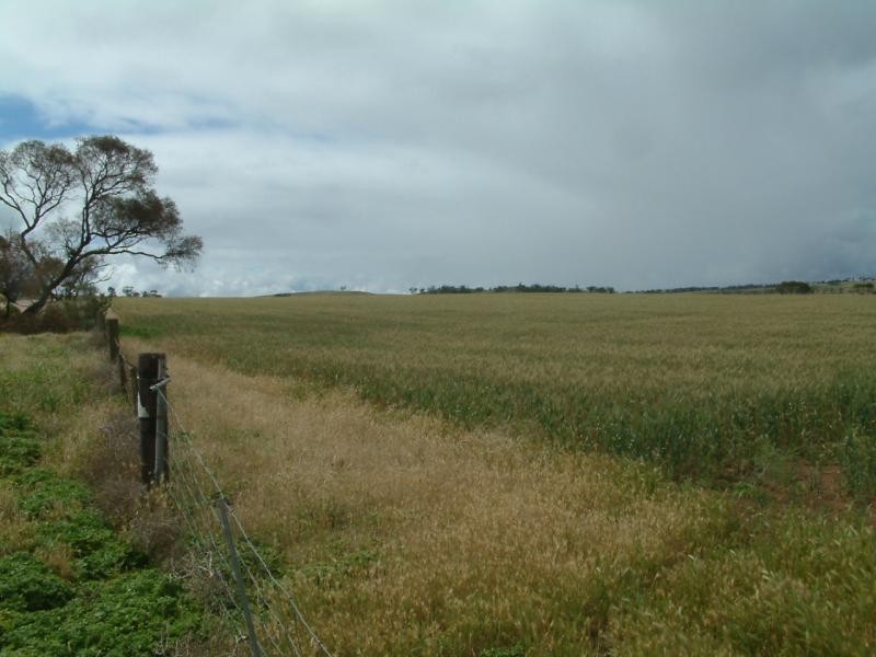 Section 345/ Pfieffer Road, Mannum SA 5238
