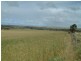 Section 345/ Pfieffer Road, Mannum SA 5238