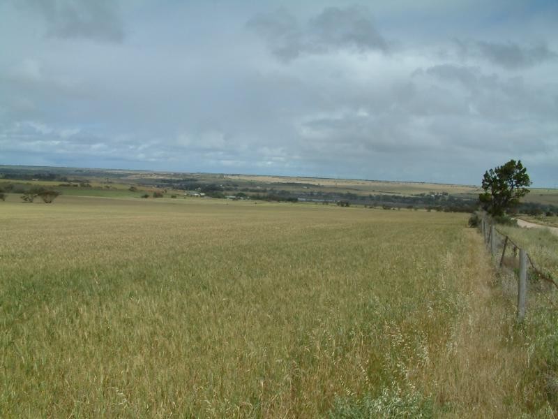 Section 345/ Pfieffer Road, Mannum SA 5238