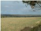 Section 345/ Pfieffer Road, Mannum SA 5238