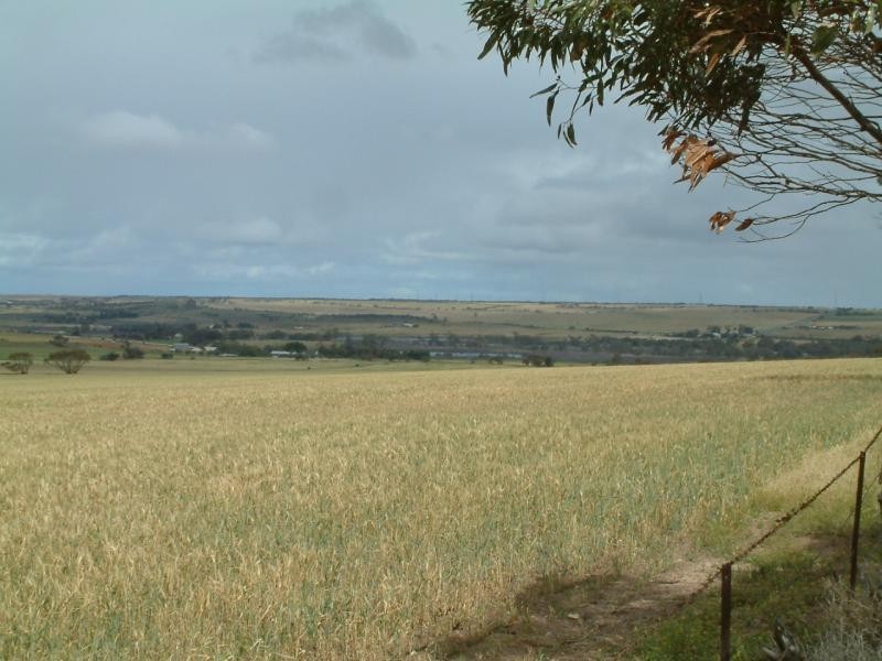 Section 345/ Pfieffer Road, Mannum SA 5238
