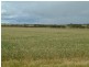 Section 345/ Pfieffer Road, Mannum SA 5238