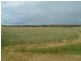 Section 345/ Pfieffer Road, Mannum SA 5238