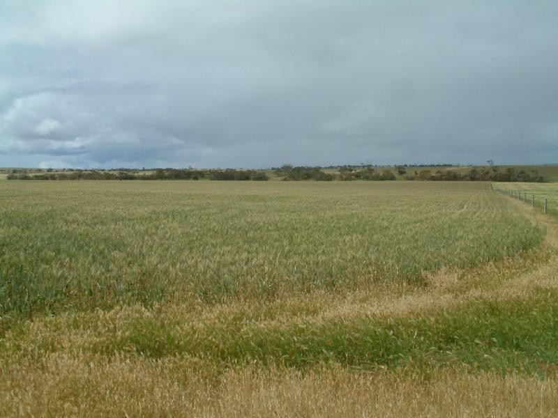 Section 345/ Pfieffer Road, Mannum SA 5238