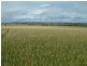 Section 345/ Pfieffer Road, Mannum SA 5238