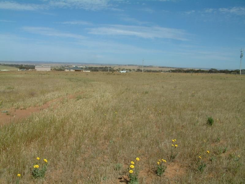 Lot 48/ Ibis Drive, Sunset Rise Estate, Mannum SA 5238