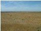 Lot 48/ Ibis Drive, Sunset Rise Estate, Mannum SA 5238
