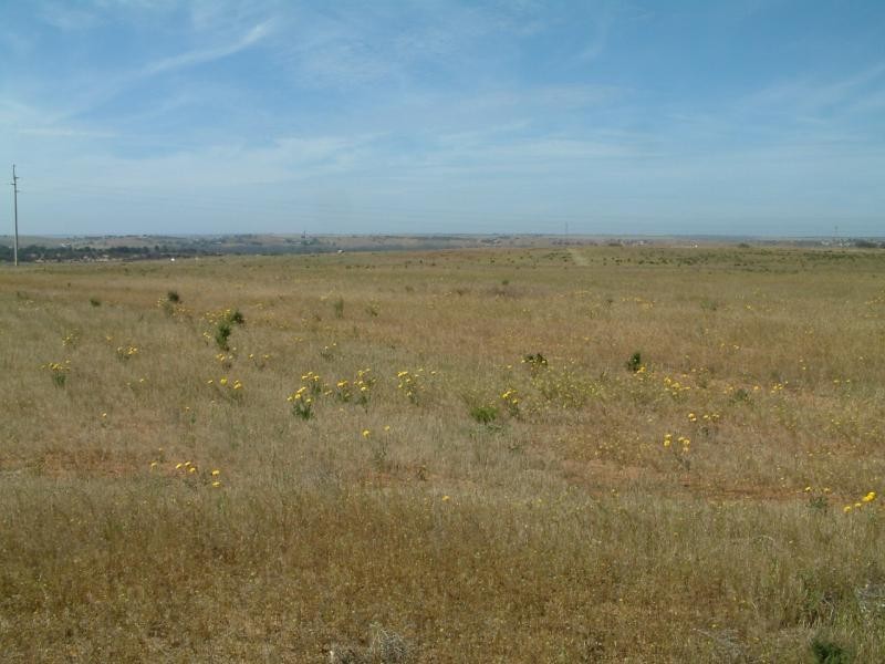 Lot 48/ Ibis Drive, Sunset Rise Estate, Mannum SA 5238