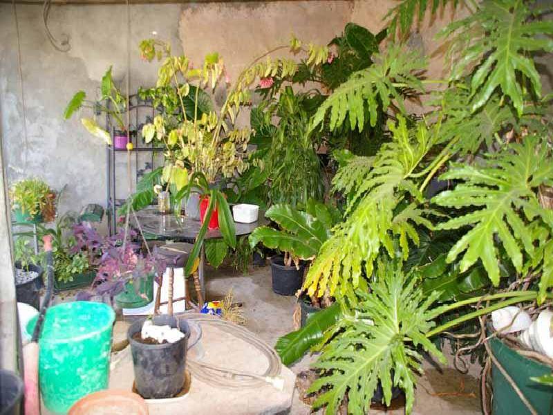 LOT 28 THIRD STREET, Curramulka SA 5580