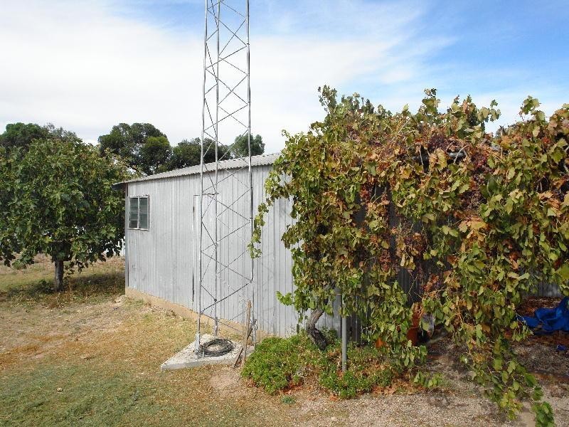 31B NARANGGA TERRACE, Moonta Bay SA 5558