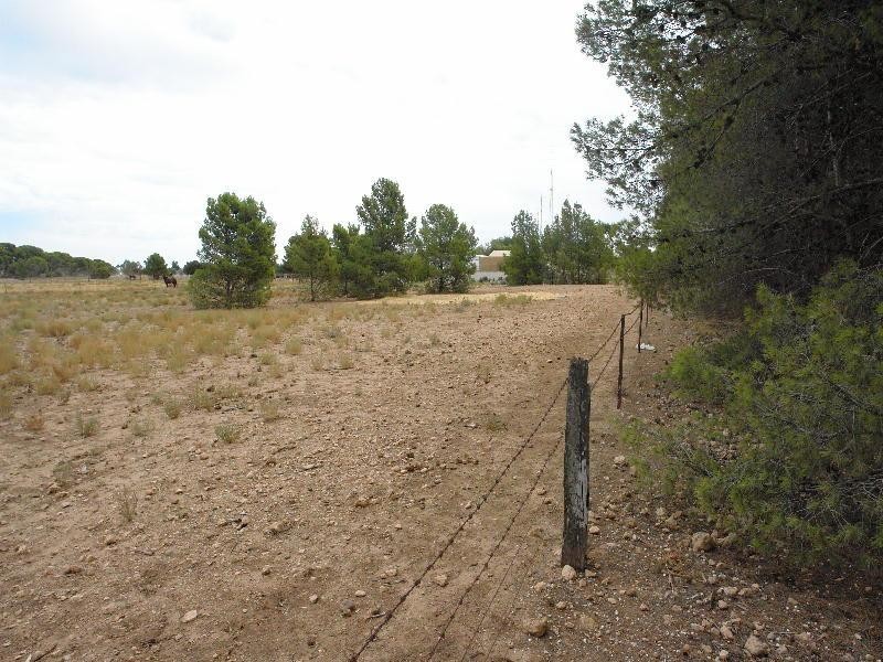 Lot 14 Tank Road, Moonta SA 5558