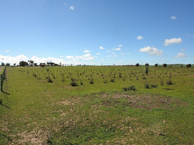 Section 763/ Government Road, Wallaroo SA 5556
