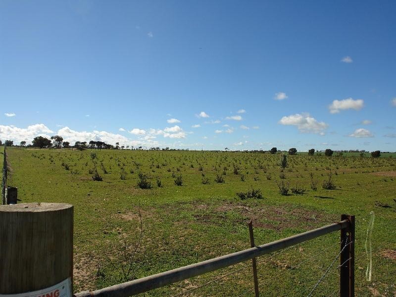 Section 763/ Government Road, Wallaroo SA 5556