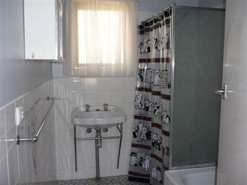 54 Tiddy Avenue, Maitland SA 5573