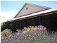 7 Clinton Road, Maitland SA 5573
