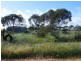 221 s Hobbs Road, Port Broughton SA 5522