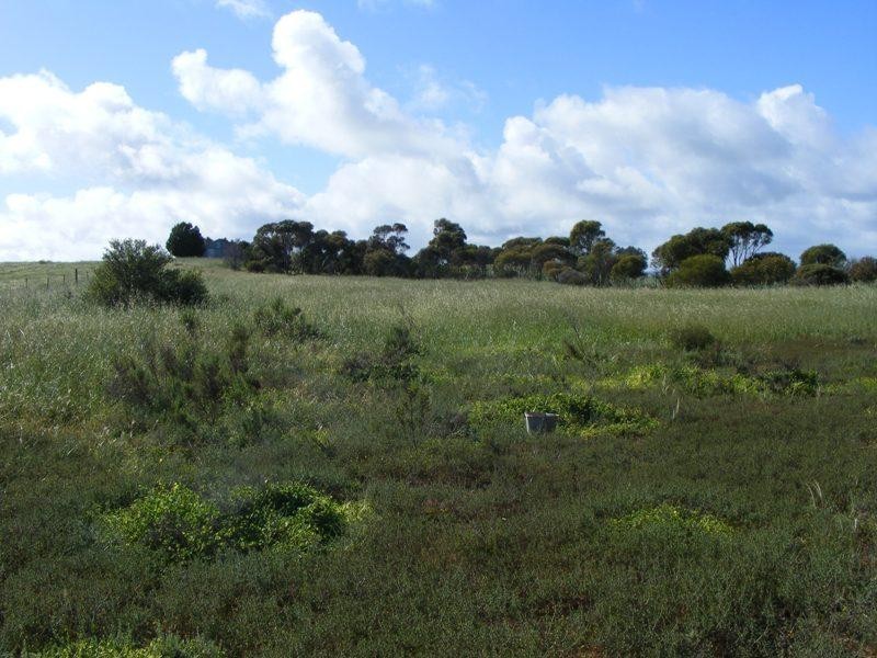 221 s Hobbs Road, Port Broughton SA 5522