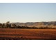 Warnertown SA 5540
