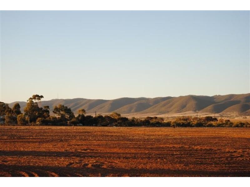 Warnertown SA 5540