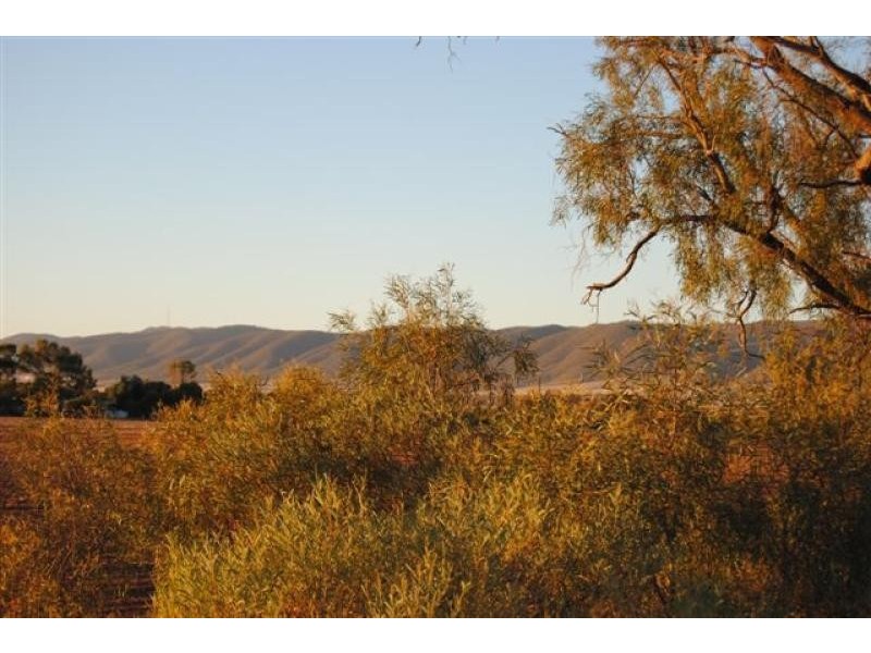 Warnertown SA 5540