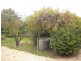 10 Eldon Street, Maitland SA 5573