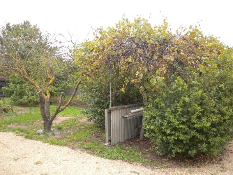 10 Eldon Street, Maitland SA 5573