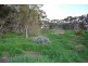 Lot 133c/ Arthurton/Ardrossan Road, (Petersville), Ardrossan SA 5571