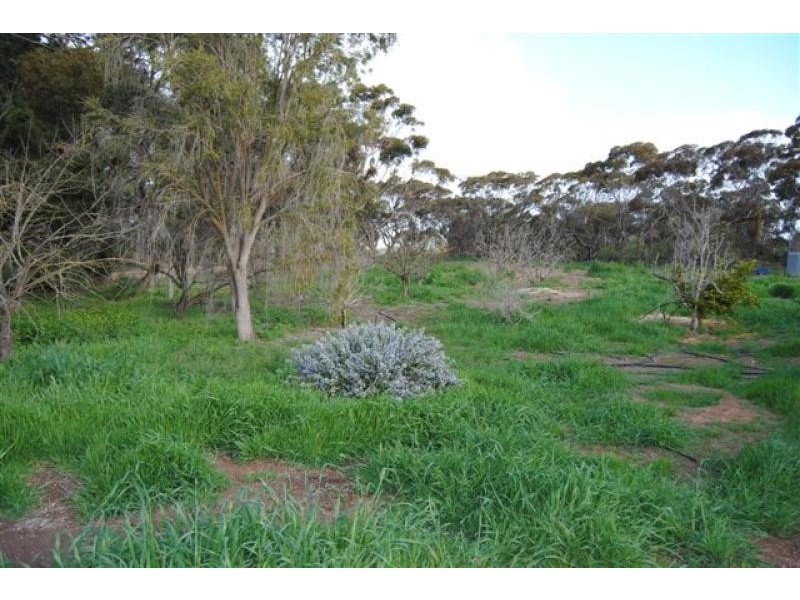 Lot 133c/ Arthurton/Ardrossan Road, (Petersville), Ardrossan SA 5571