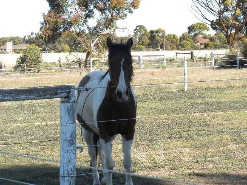 53 Agery Road, Kadina SA 5554