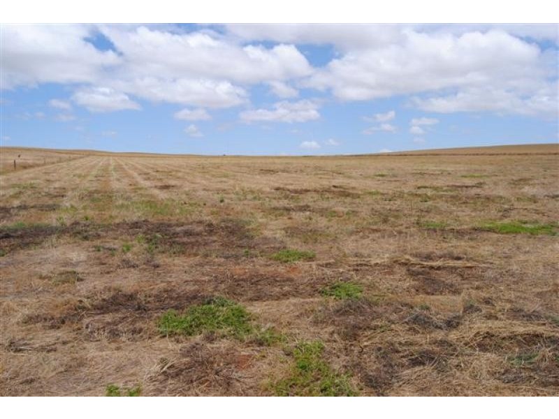 Lot 1/ Pepper Road, Ardrossan SA 5571