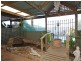 14 Churston Place, Moana SA 5169