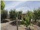 5 Aubrey Drive, Willunga SA 5172