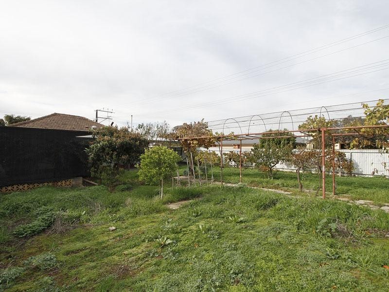 20 David Avenue, Mitchell Park SA 5043