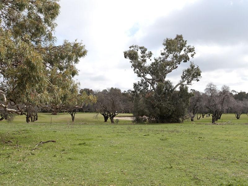 22 Hall Road, Willunga SA 5172