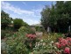 139 Esplanade, Aldinga Beach SA 5173