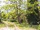 Mount Pleasant SA 5235