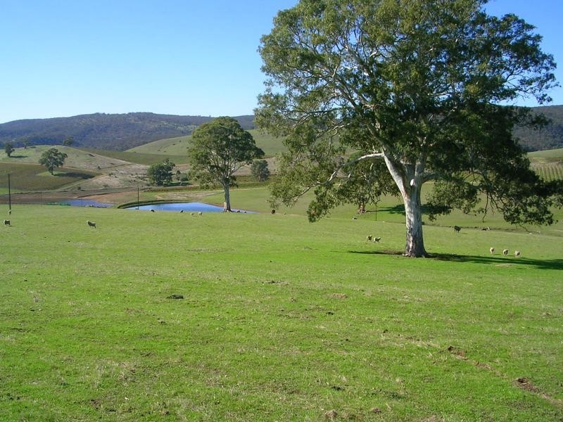 Lot 28 Little Para Road, Kersbrook SA 5231