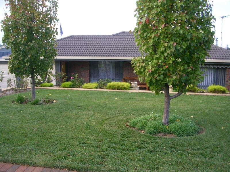 11 Gollan Avenue, Strathalbyn SA 5255