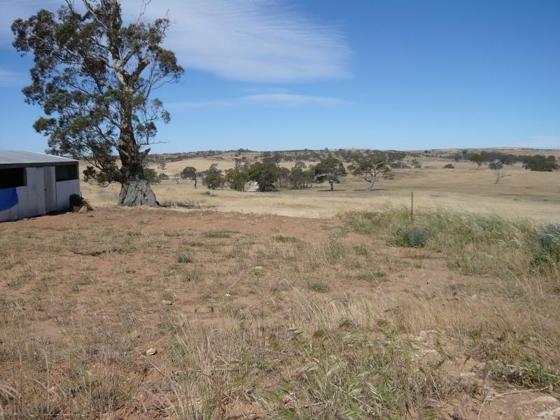 Lot 19/ Church Road, Springton SA 5235