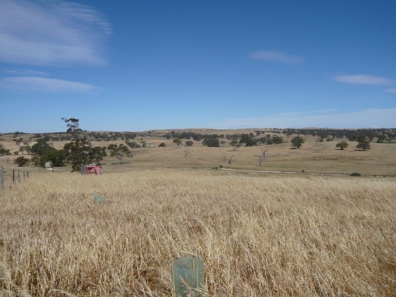 Lot 19/ Church Road, Springton SA 5235