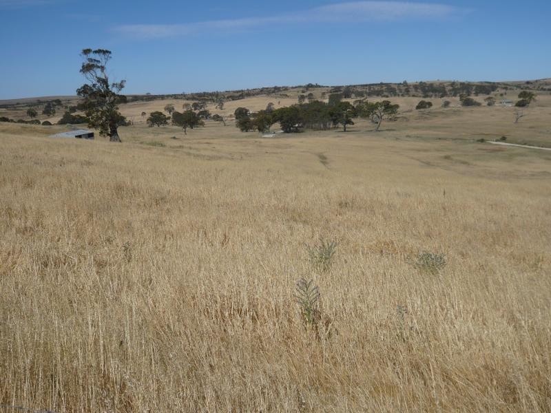 Lot 19/ Church Road, Springton SA 5235