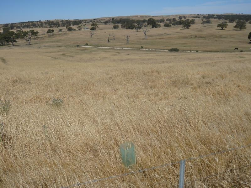 Lot 19/ Church Road, Springton SA 5235