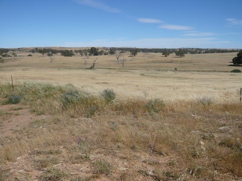 Lot 19/ Church Road, Springton SA 5235