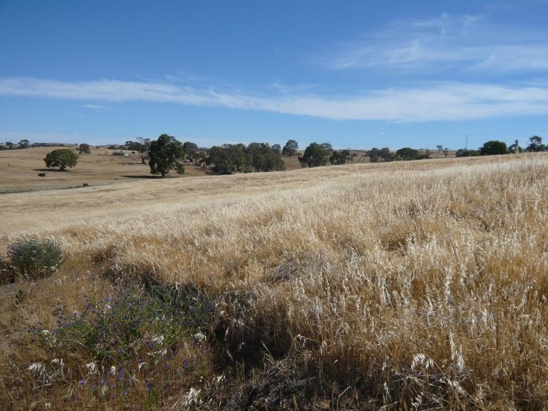 Lot 19/ Church Road, Springton SA 5235