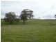 Lot 52/ Moss Smith Road, Springton SA 5235